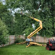 Reliable Dover, NH Tree Services Solutions